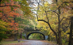 edgewood-park