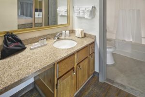 Guest Suite Bathroom